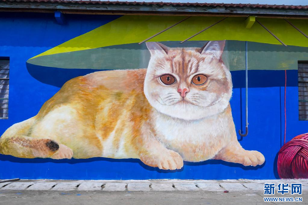 云南这个村有“看头”！斑斓色彩绘出乡村靓景