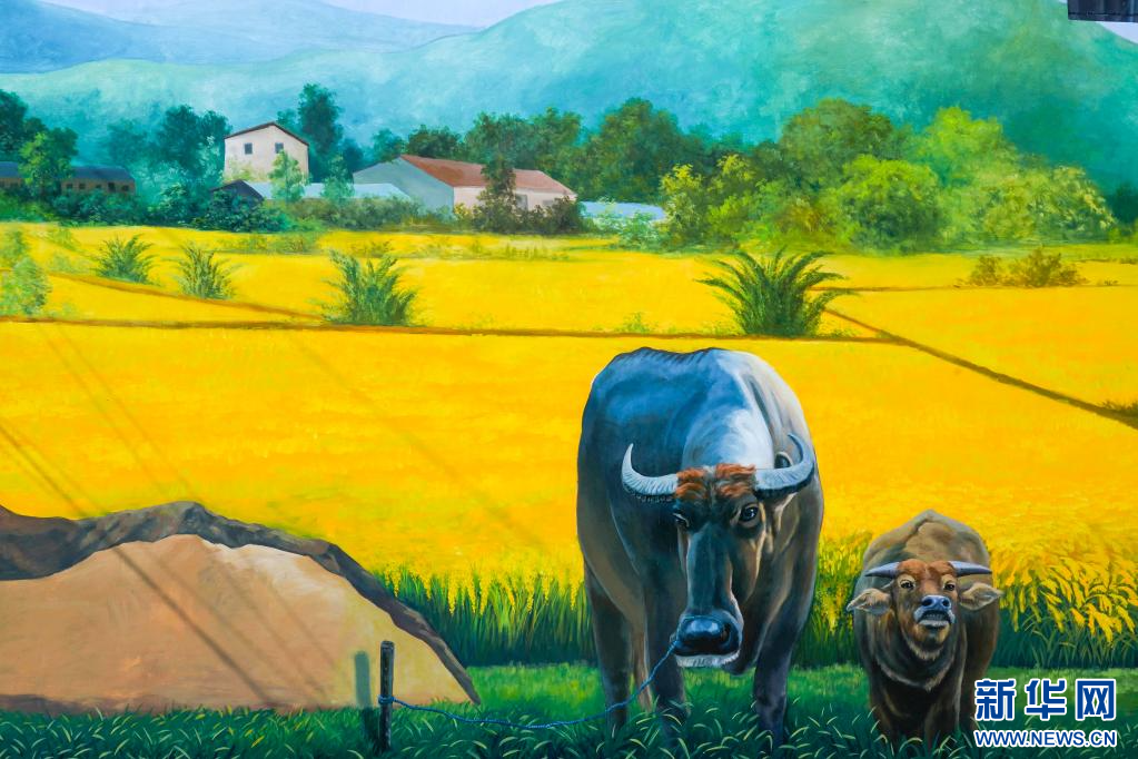 云南这个村有“看头”!斑斓色彩绘出乡村靓景 云南这个村有“看头”!斑斓色彩绘出乡村靓景