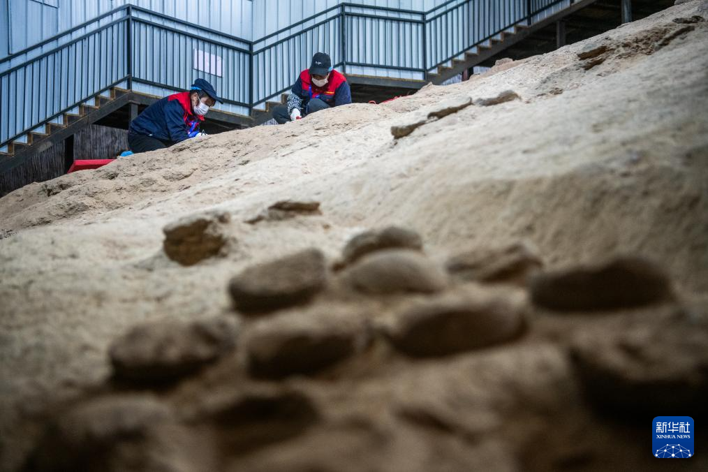 湖北首次发现结晶恐龙蛋化石