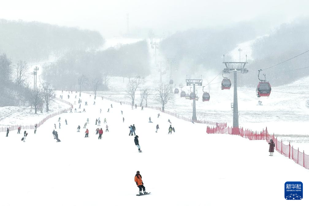 从阿尔卑斯山到长白山:“世界冰雪黄金纬度带”冰雪经济正“火热”