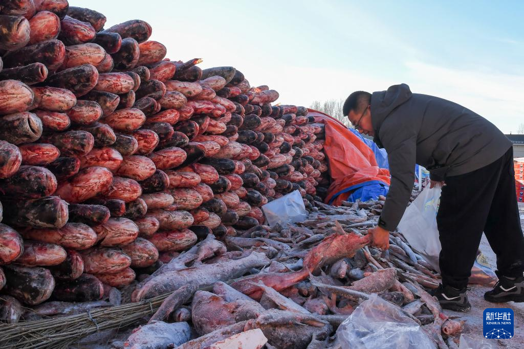 传统渔猎冬捕进行时