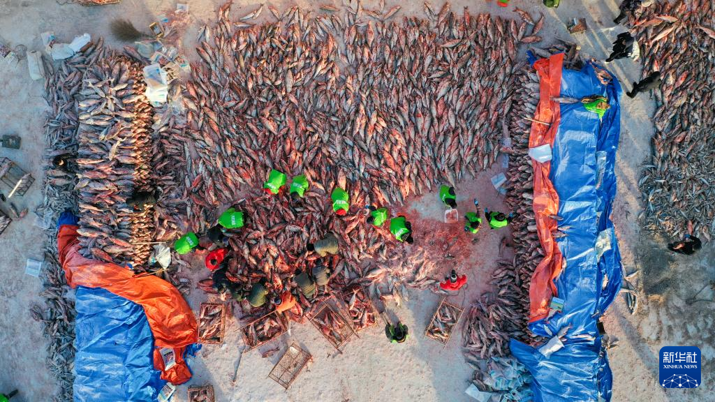 传统渔猎冬捕进行时