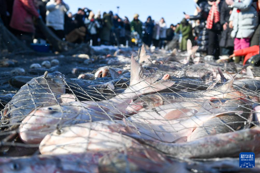 传统渔猎冬捕进行时