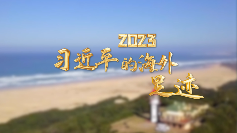 2023 习近平的国际萍踪