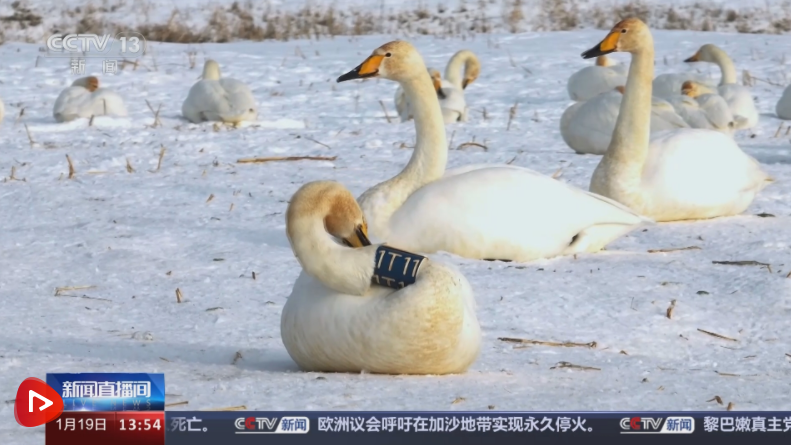 多行业“握指成拳”合力致远 中国高质量发展“稳”“进”“好”特征显现 多行业“握指成拳”合力致远 中国高质量发展“稳”“进”“好”特征显现