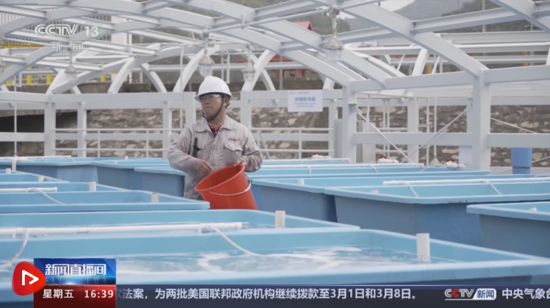 多行业“握指成拳”合力致远 中国高质量发展“稳”“进”“好”特征显现 多行业“握指成拳”合力致远 中国高质量发展“稳”“进”“好”特征显现