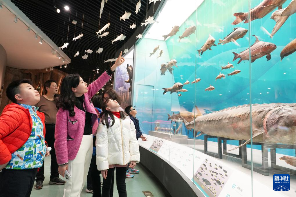 锦绣中国年|多彩活动过大年