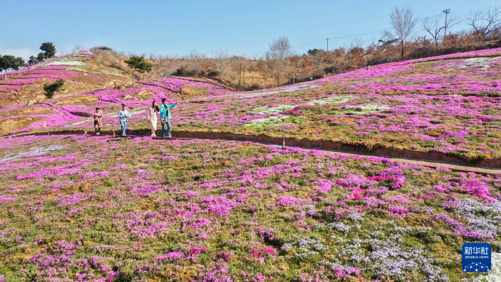 春花烂漫踏青时