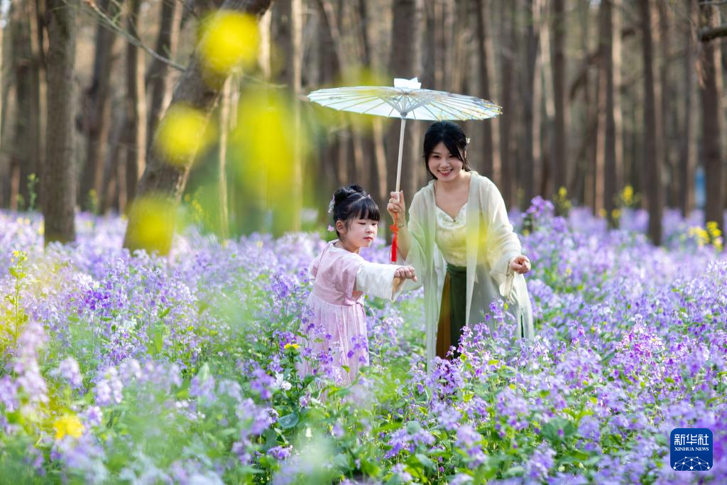 春花烂漫踏青时