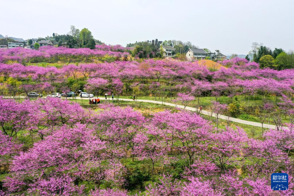 春花烂漫踏青时