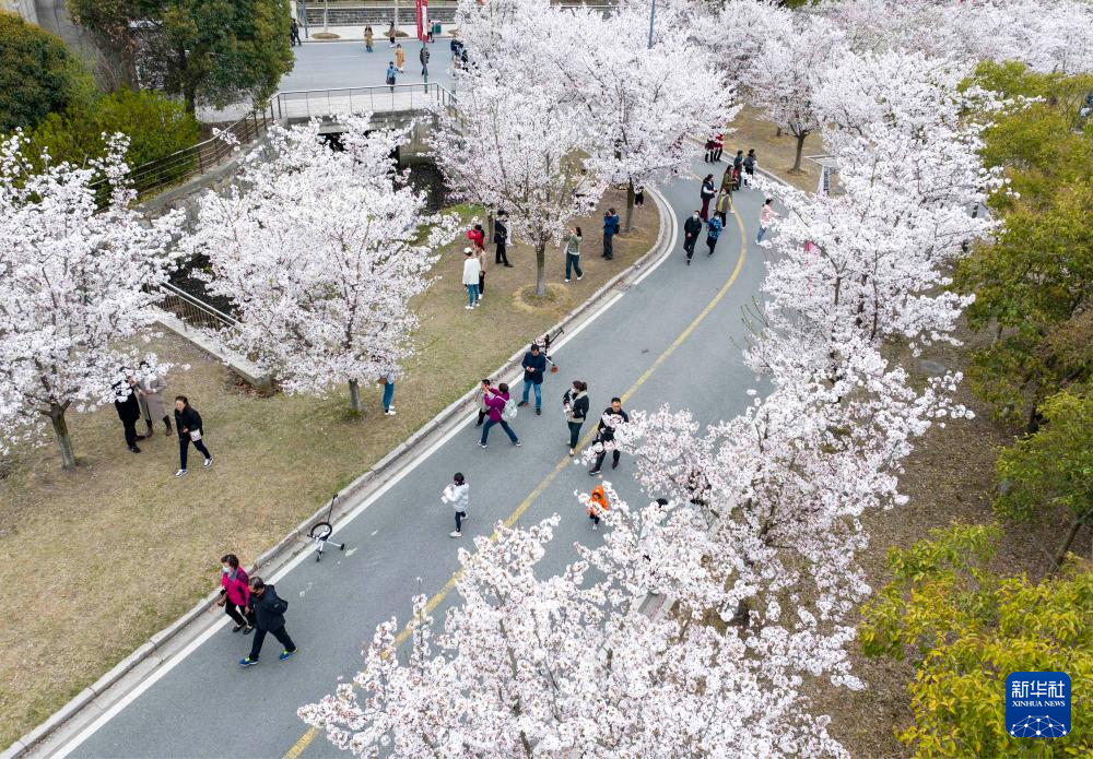 春花烂漫踏青时