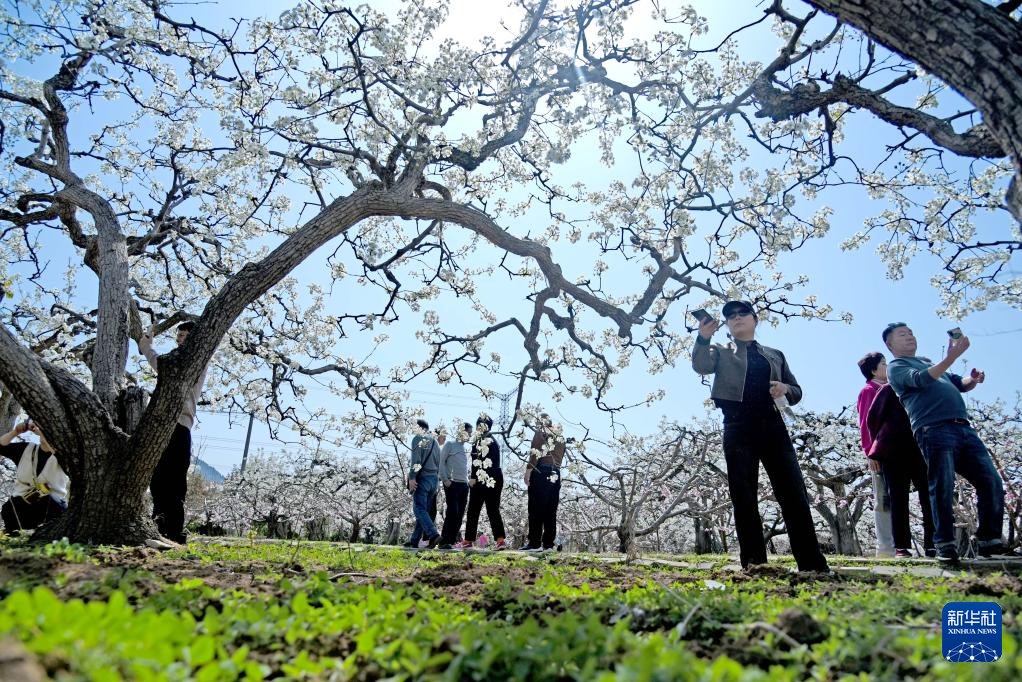 春花烂漫踏青时