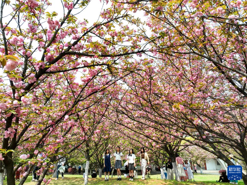春花烂漫踏青时