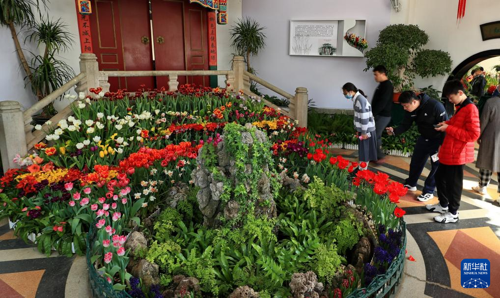 春花烂漫踏青时