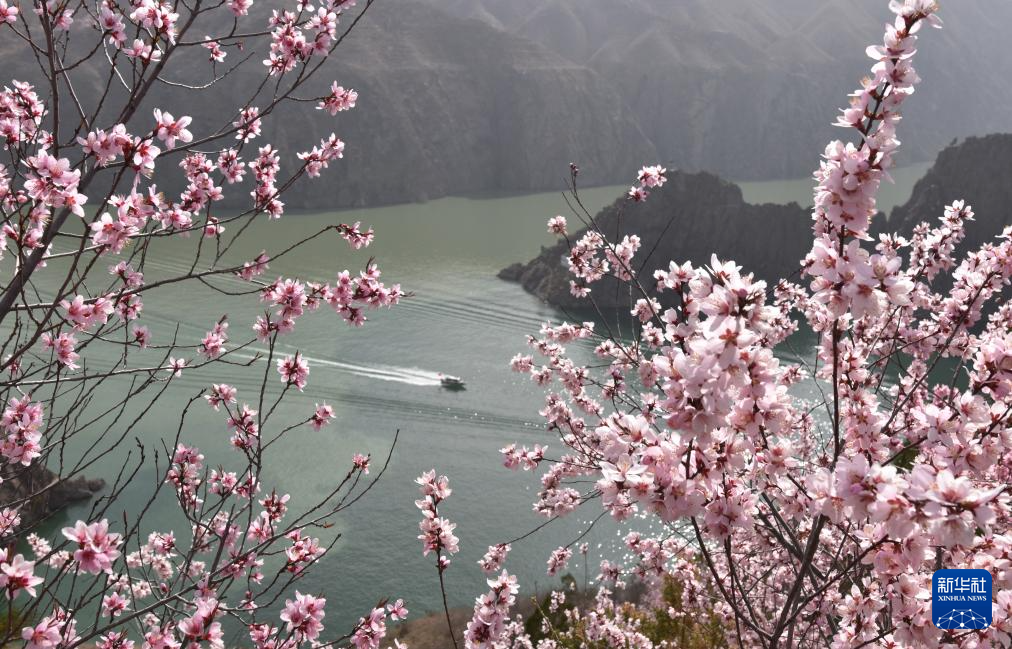 春花烂漫踏青时