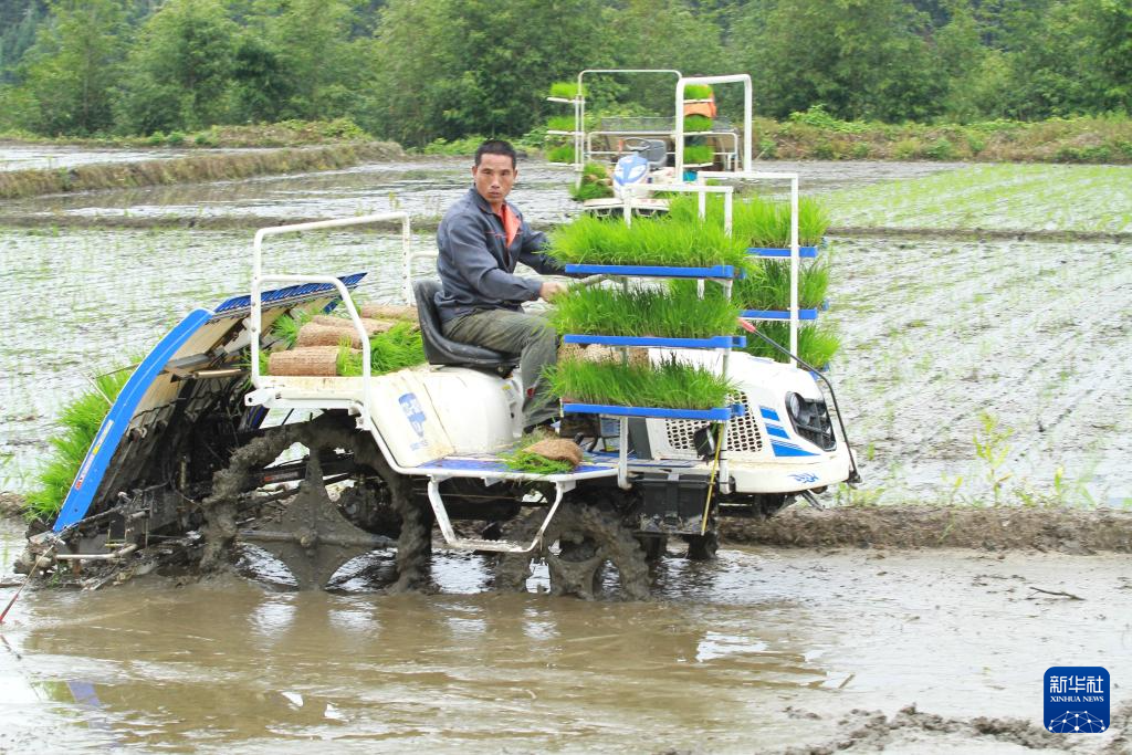 希望的田野 忙碌的身影