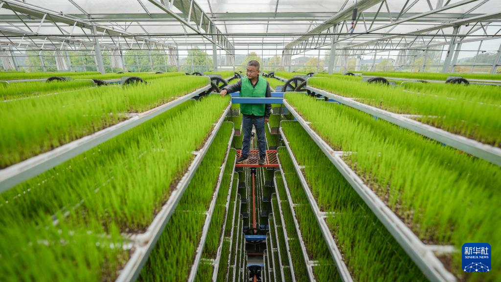 希望的田野 忙碌的身影