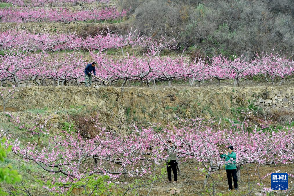 希望的田野 忙碌的身影
