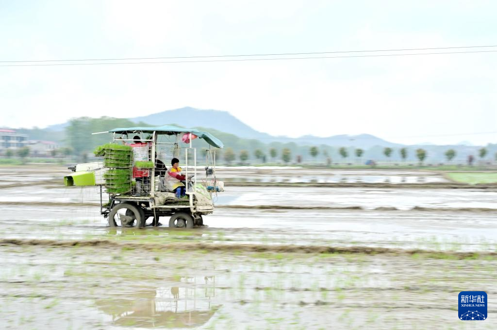 希望的田野 忙碌的身影