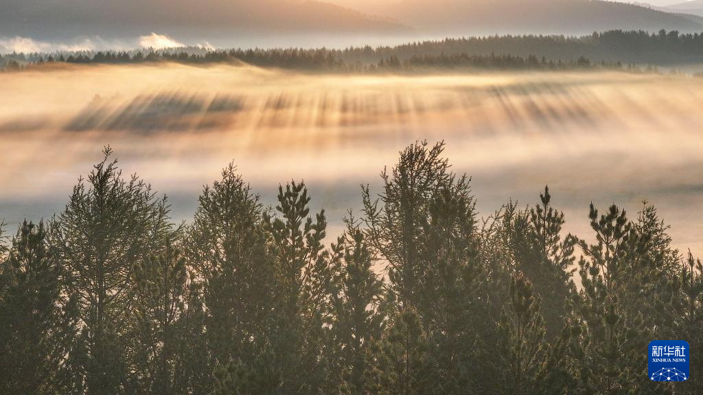 河北塞罕坝:山川雾霭 光影流岚