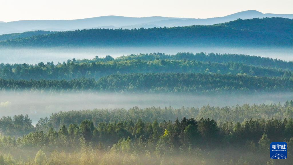 河北塞罕坝:山川雾霭 光影流岚