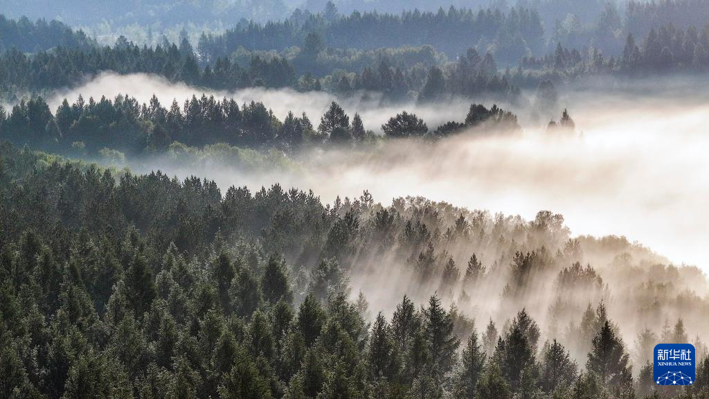 河北塞罕坝:山川雾霭 光影流岚