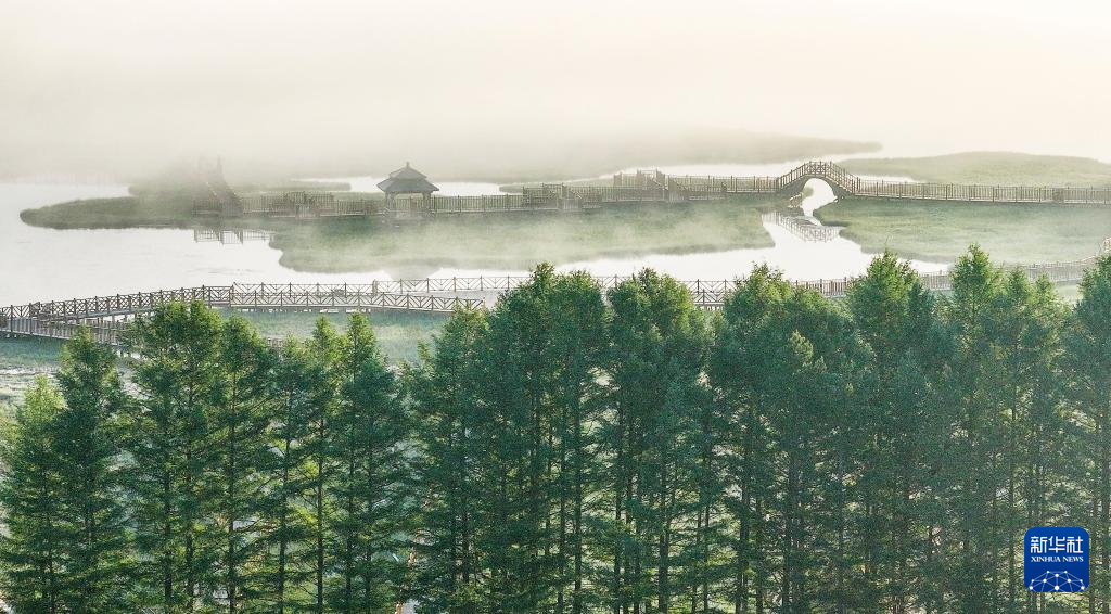 河北塞罕坝:山川雾霭 光影流岚