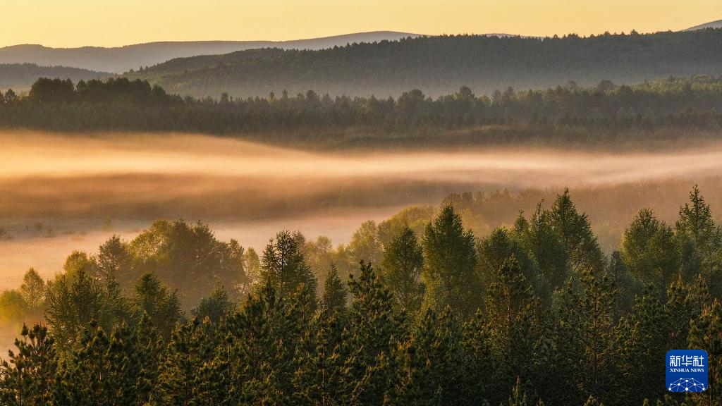 河北塞罕坝:山川雾霭 光影流岚