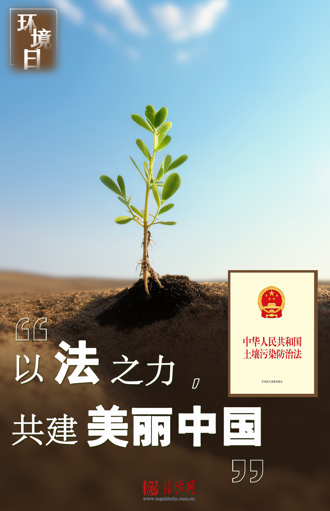 环境日 | 以法之力,共建美丽中国