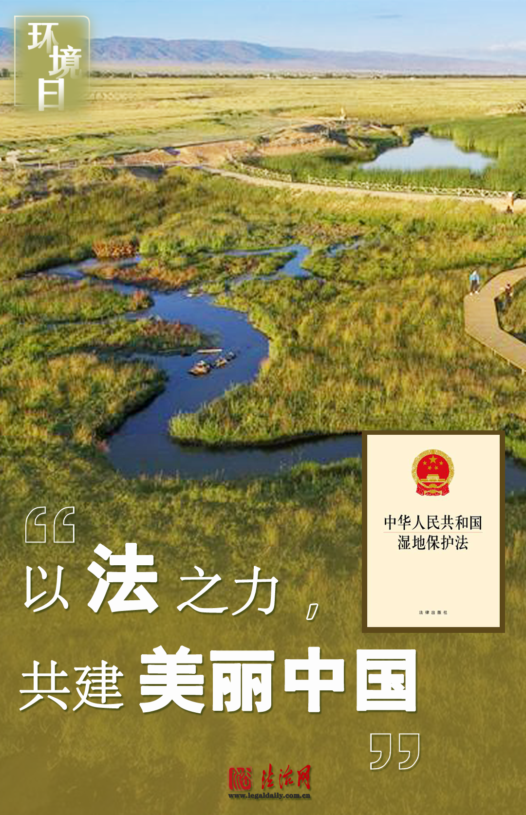 环境日 | 以法之力,共建美丽中国