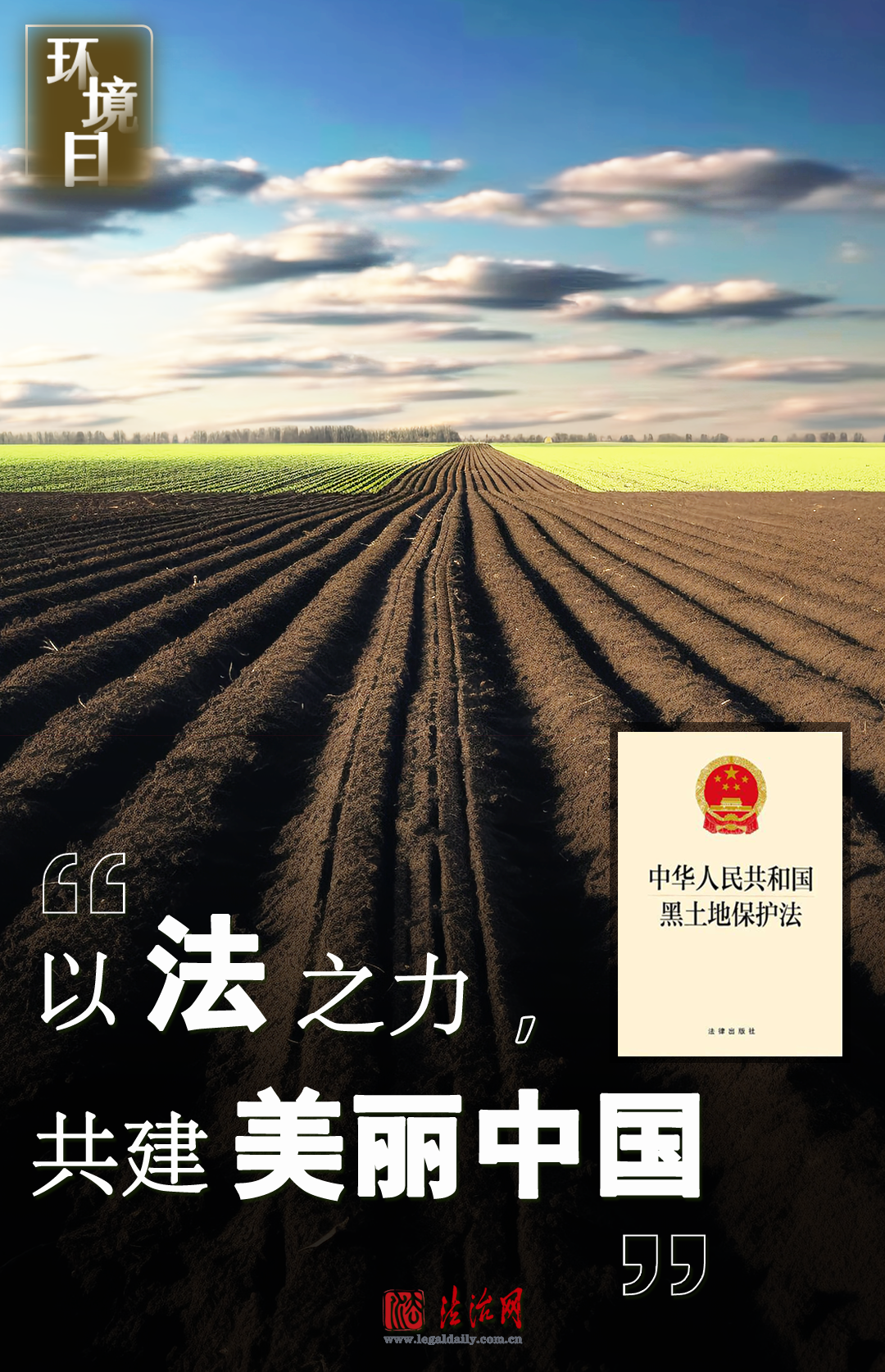 环境日 | 以法之力,共建美丽中国