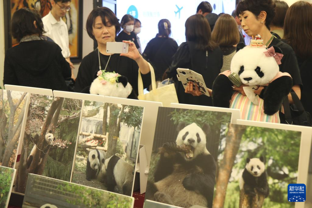 通讯｜“‘香香’让我爱上中国文化”——记大熊猫“香香”7岁庆生会在东京举行