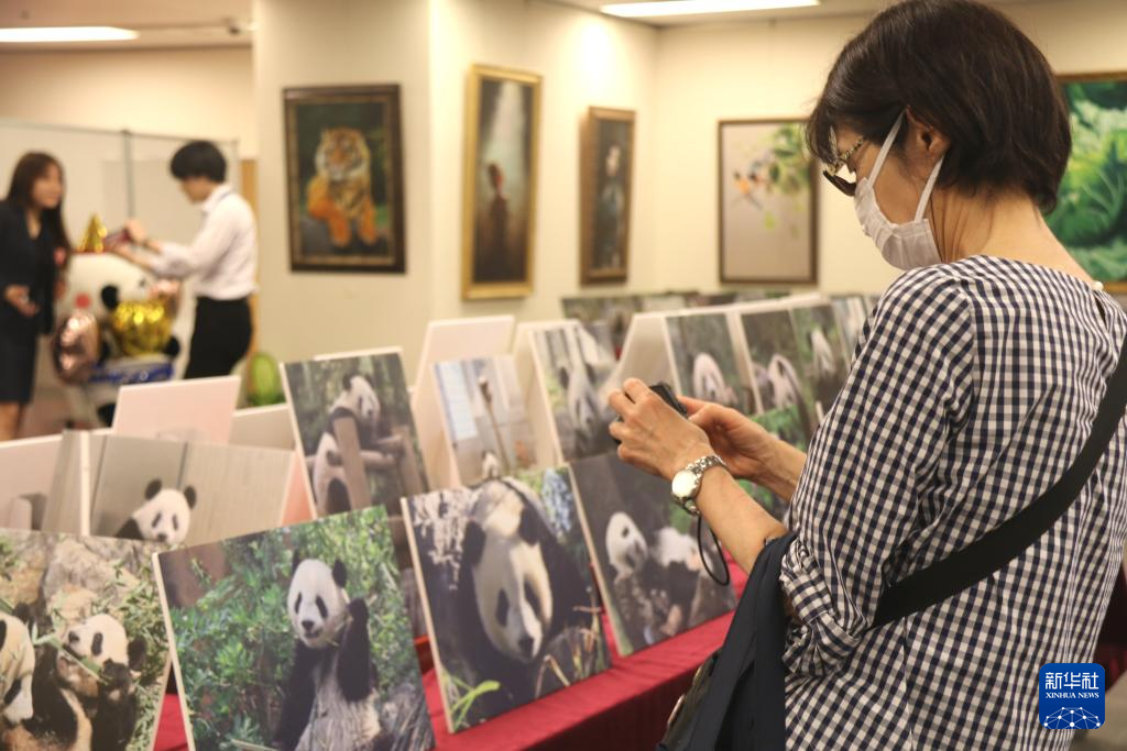 通讯｜“‘香香’让我爱上中国文化”——记大熊猫“香香”7岁庆生会在东京举行