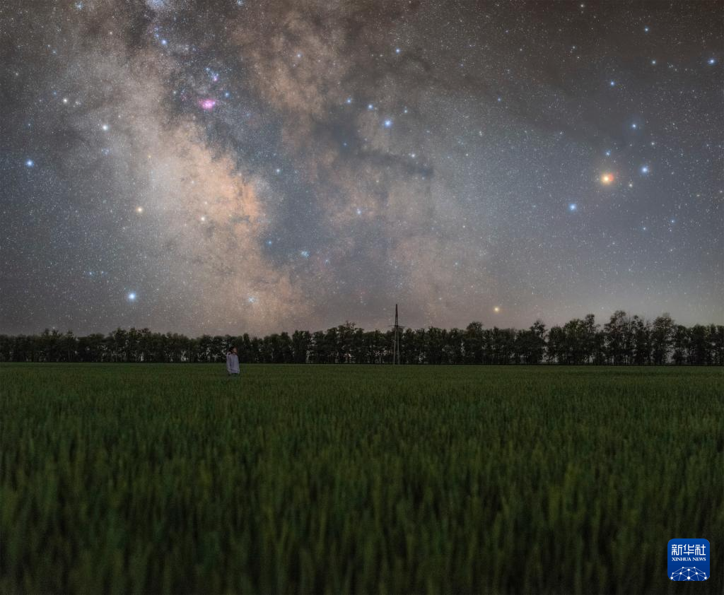 “北大仓”：田野“约会”浪漫星空