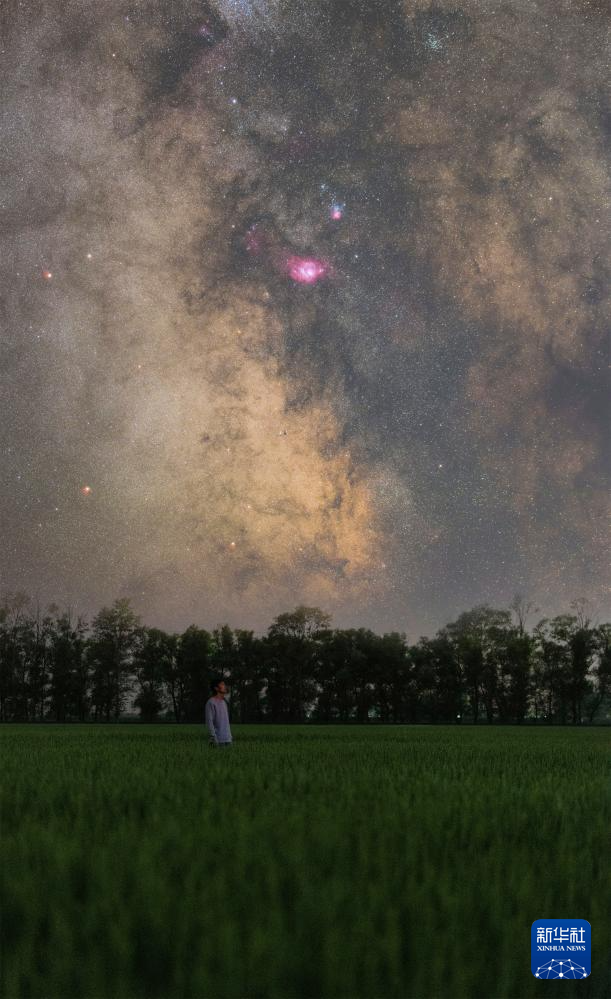 “北大仓”：田野“约会”浪漫星空