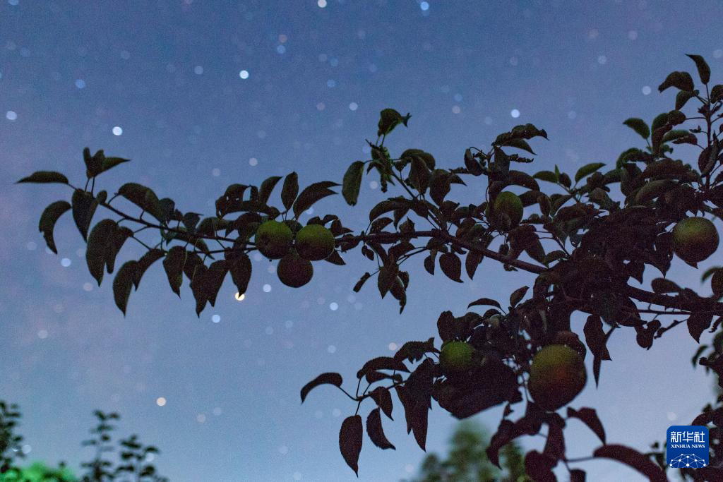 “北大仓”：田野“约会”浪漫星空