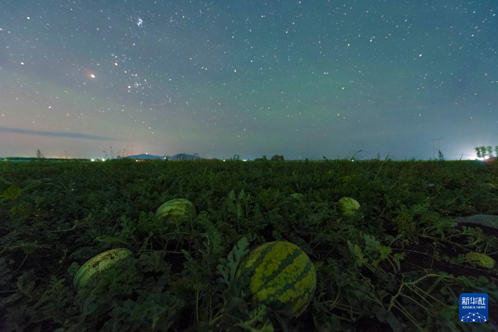 “北大仓”：田野“约会”浪漫星空