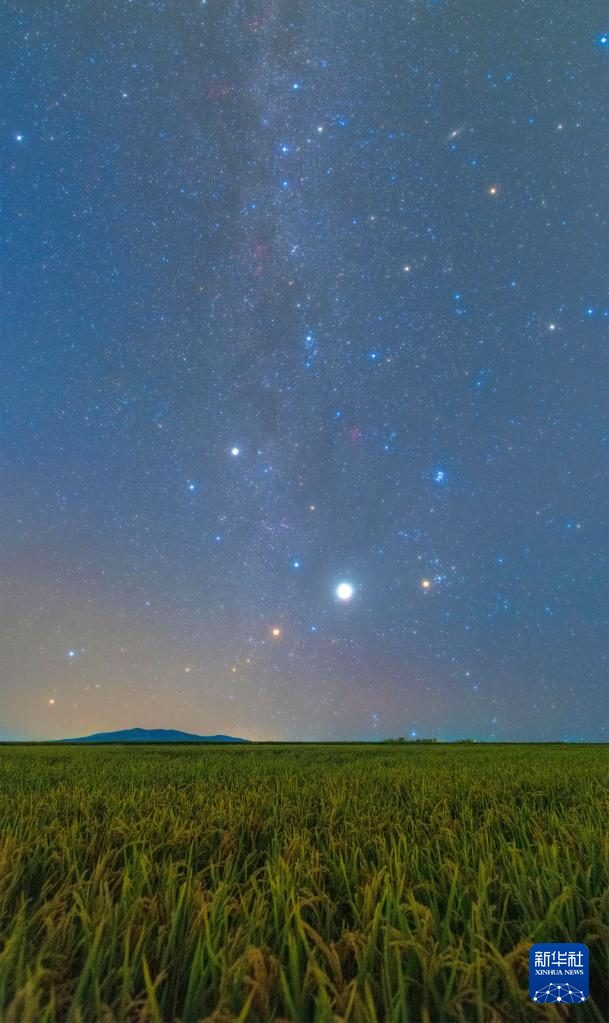 丰收田野“约会”浪漫星空