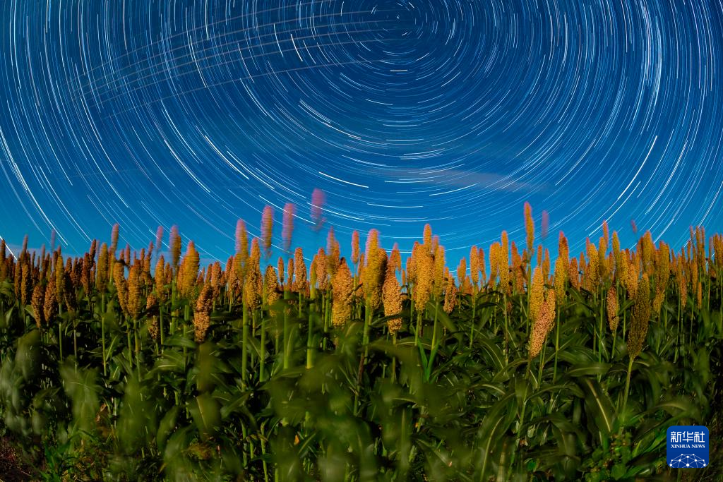 丰收田野“约会”浪漫星空