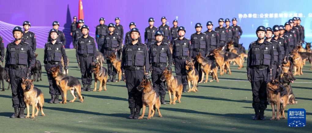 第六届全国警犬技术比赛圆满收官