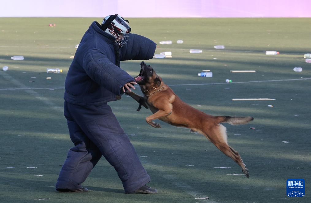 第六届全国警犬技术比赛圆满收官