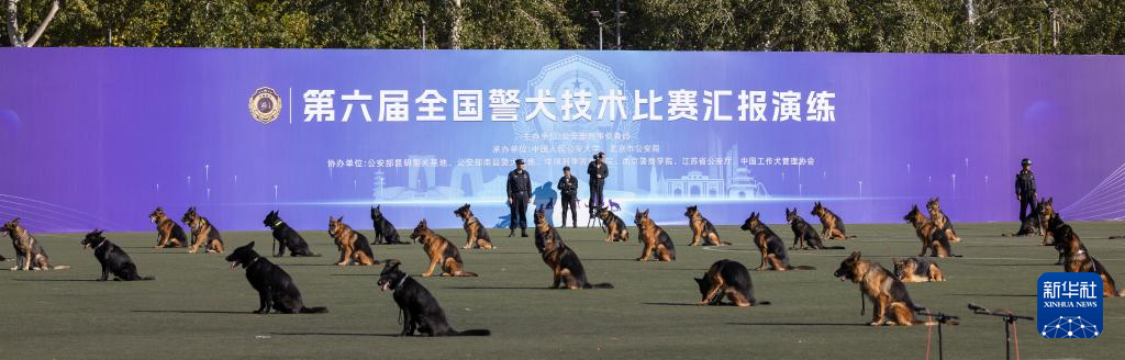 第六届全国警犬技术比赛圆满收官