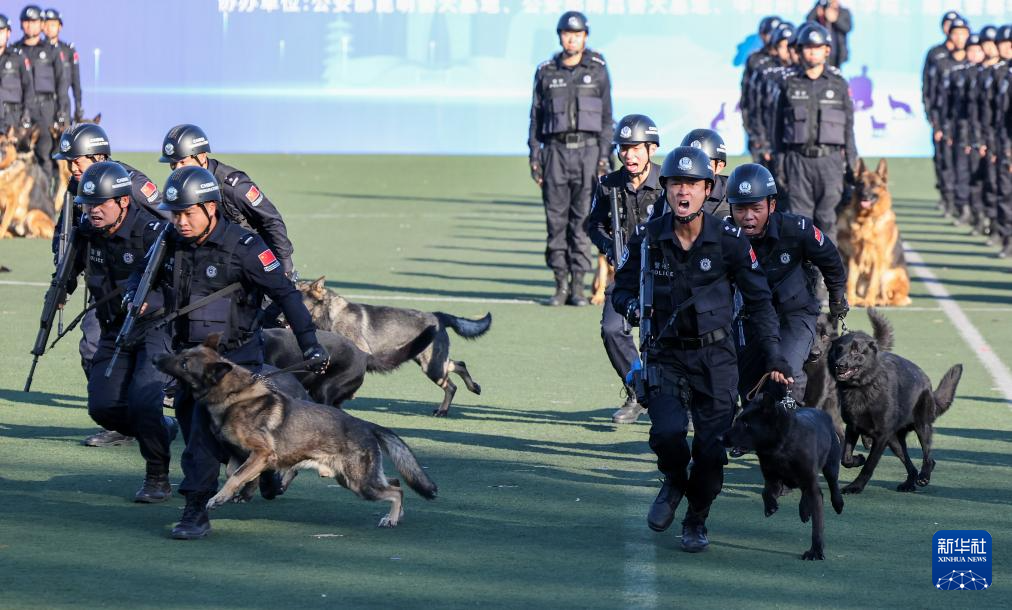 第六届全国警犬技术比赛圆满收官