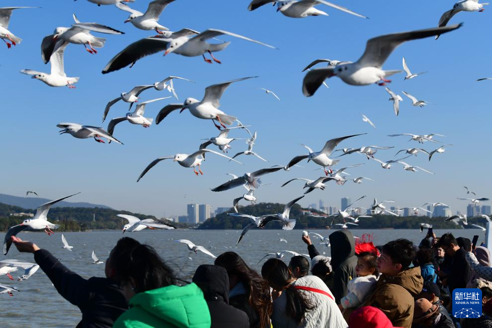 缤纷冬日