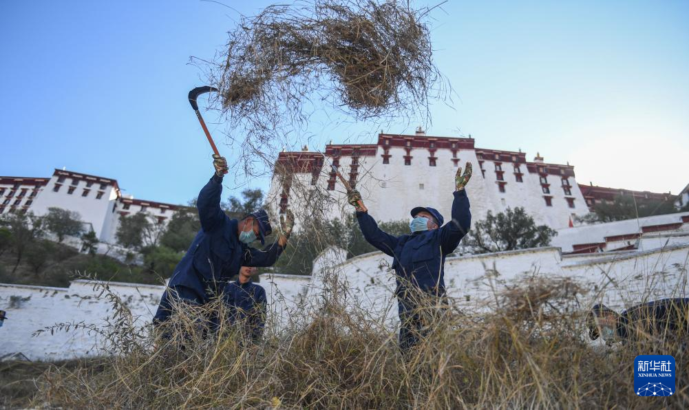 布宫消防救援大队：40年“零火灾” 他们这样守护布达拉宫