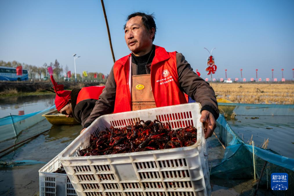 湖北潜江：小龙虾冬捕供市场