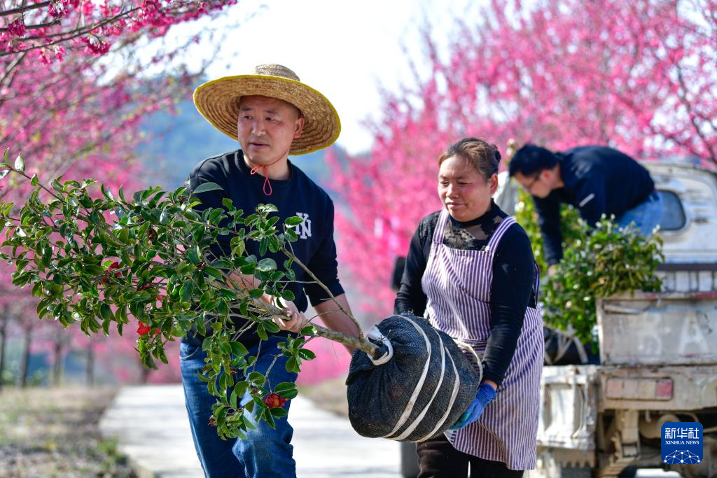 坚守荒山植绿 4000亩草坡变“花果园”