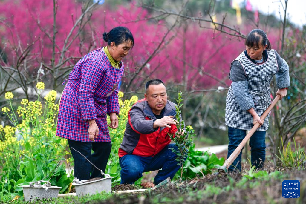 坚守荒山植绿 4000亩草坡变“花果园”