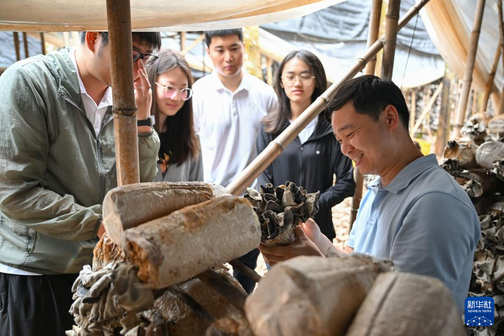 海南：食用菌科技小院助农增收