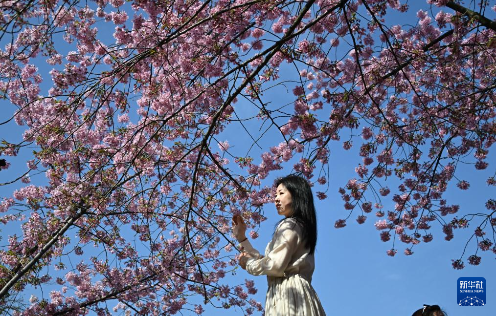 尽享春日芳华